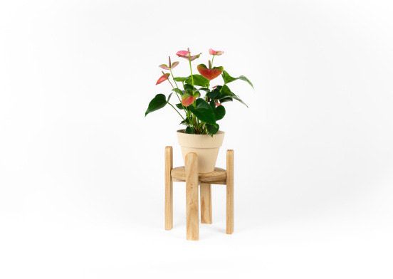The finished wooden plant stand holding a potted plant with pink flowers.